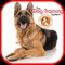 Icon Dog Training for beginners