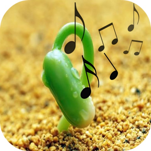 Beat Note Beans - Match Sage&Mystery Tower Icon