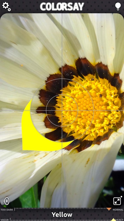 ColorSay – Hear the world in color! screenshot-3