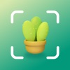 Plant Identifier - AI Diagnose