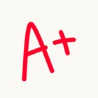 Einstein AI: Homework Helper