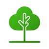 FruitForest: Orchard Mapping