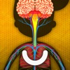 The Human Body: Learn Anatomy