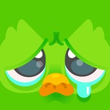 Duolingo - Language Lessons Statistics Duolingo - Language Lessons logo