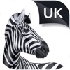 Investec UK