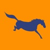 Horseplay.app