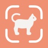 Cat Identifier — Breed Scanner