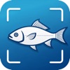 AI Fish Identifier