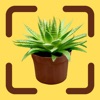 Plantsnap Plant Identifier