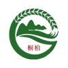 云上桐柏
