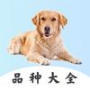 打卡宠物狗百科-宠物犬百科知识大全