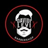 Davidi Levi