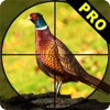 Pheasant Bow Hunting Pro