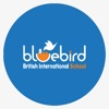 Bluebird British International