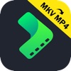 4Video MKV MP4 Converter