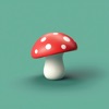 Picture Mushroom