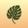 Tree and Plant Identifier