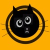 Lost Cat App