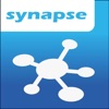 synapse