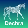 Dechra Equine Anaesthesia