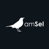 amSel