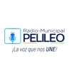 Radio Municipal Pelileo