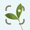 Plant Identifier: Snap scanner