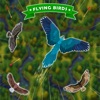 Flying Bird Skyline Adventure