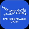 Трансформация силы 2024