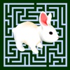 Maze Escape: Rabbit Runner