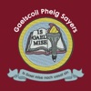 Gaelscoil Pheig Sayers