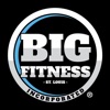 Big Fitness Online Platform