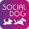 Socialdog