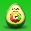 Calo: AI Food Calorie Counter