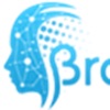 BrainSculpt