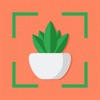 Plant Identifier - Plant Care