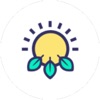 Soluce Energy
