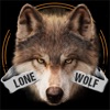 Lone Wolf Wallpapers