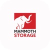 Mammoth Storage