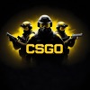 CS:GO Agents Stats & Guns 2024