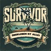 Survivor Crashed