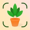 Plant: Identifier & Diagnostic