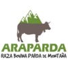 Parda de Montaña