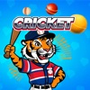 P.Match.Cricket