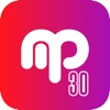 MP30 Mobile POS