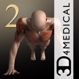 iMuscle 2 - iPhone Edition Statistics iMuscle 2 - iPhone Edition logo