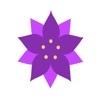 Scanlily: Organize with AI
