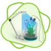 CloudLabs Photosynthesis Light