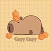 Capybara Catch: Blind Bag