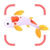 Fish App: Fish Identifier